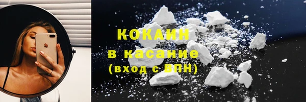 прущие грибы Белокуриха