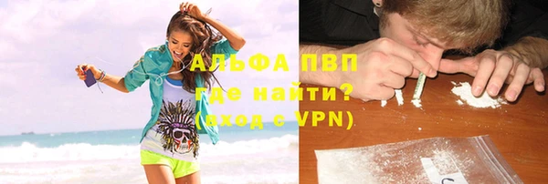 прущие грибы Белокуриха