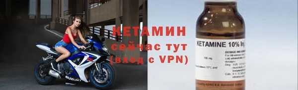 прущие грибы Белокуриха
