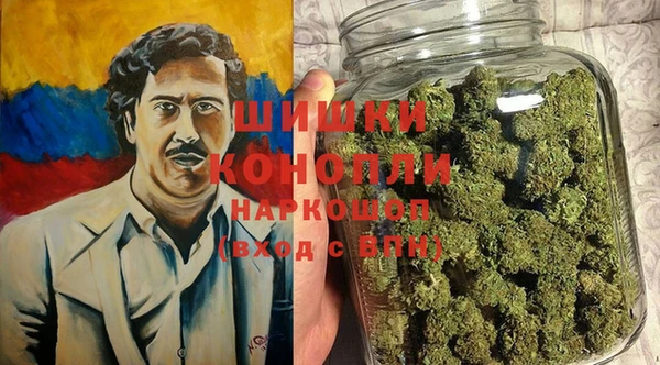 прущие грибы Белокуриха