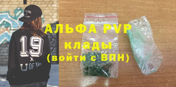 прущие грибы Белокуриха
